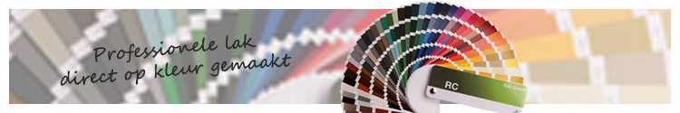 Lakstiften RAL-3 in 1- Zijdeglans