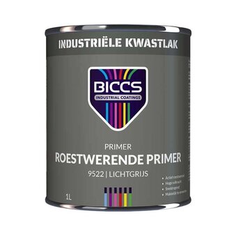 Biccs Primer